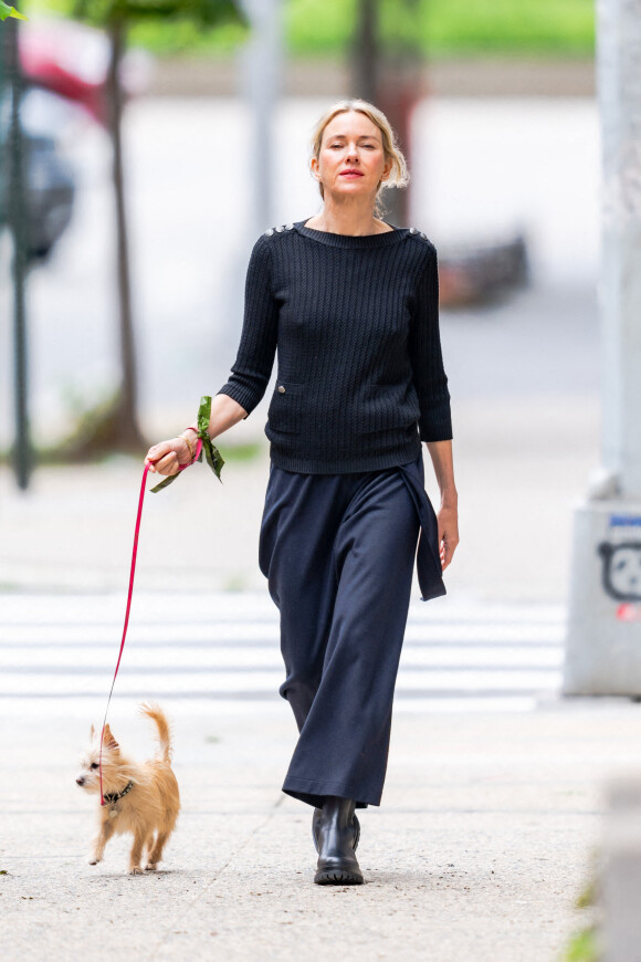 Exclusif - Naomi Watts promène son chien dans les rues de New York.