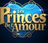 "Les Princes de l'amour" logo