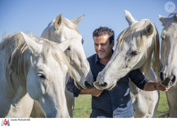 Vincent "Le Provençal", candidat de "L'amour est dans le pré 2021", sur M6