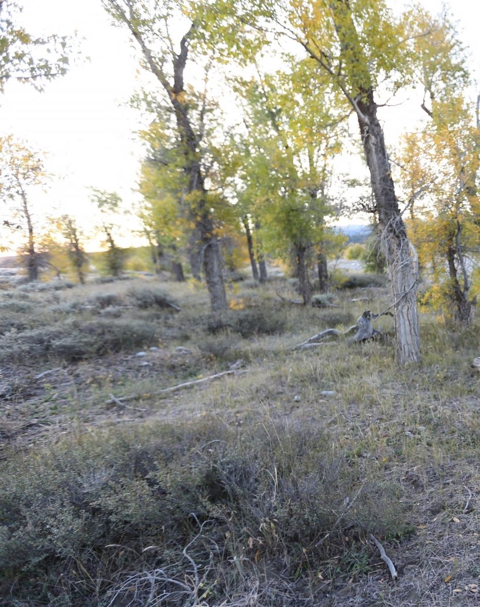 Exclusif - Enquête sur la découverte du corps de Gabby Petito dans le parc national Grand Teton, dans le Wyoming, Etats-Unis, le 21 septembre 2021.