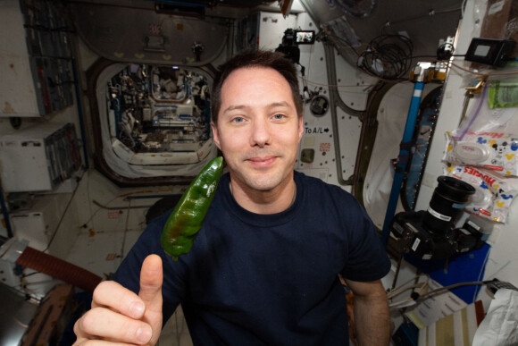 L'équipe de l'ISS (Thomas Pesquet, R. Shane Kimbrough, K. Megan McArthur, Akihiko Hoshide, Pyotr Dubrov, Mark Vande Hei) est parvenue à faire pousser des poivrons verts et rouges dans l'espace, et présente ainsi le premier tacos spatial !