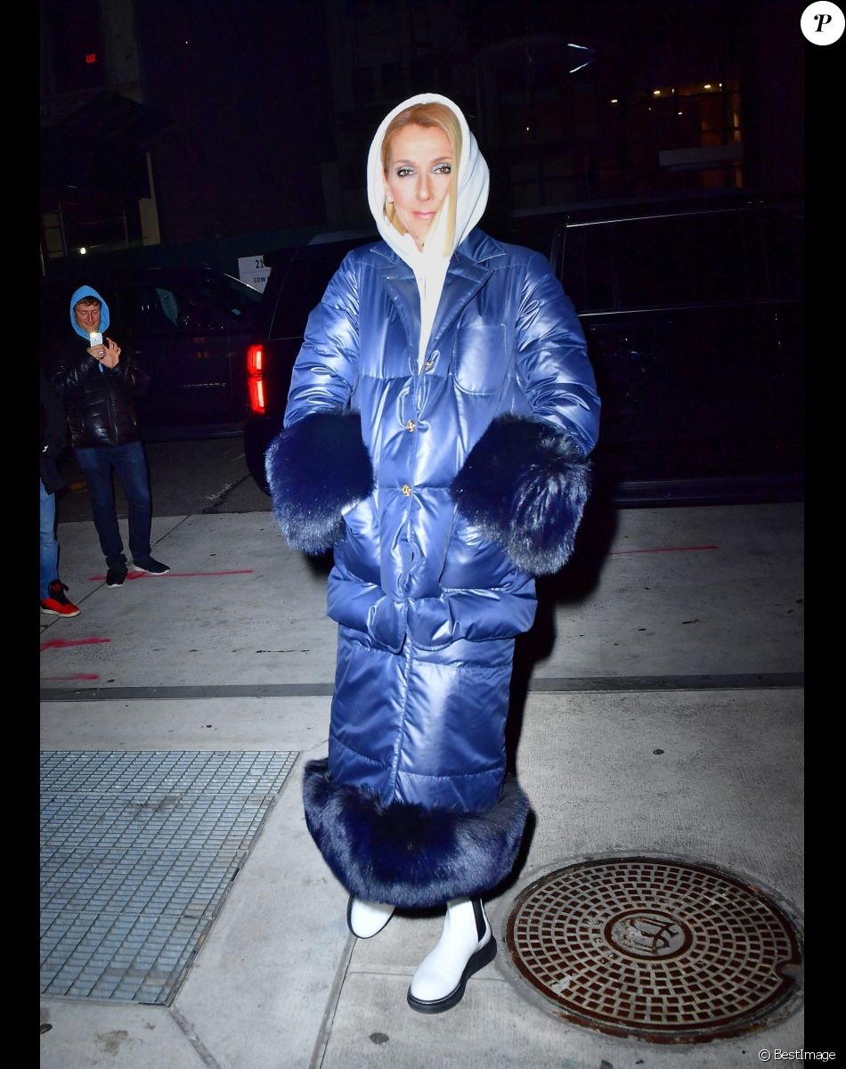 Celine Dion brave le froid de New York avec une maxi doudoune le 7 mars 2020.