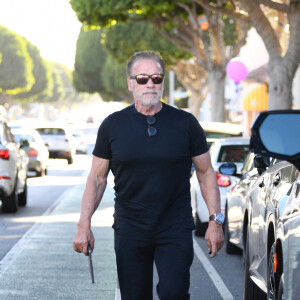 Arnold Schwarzenegger va déjeuner avec son fils Christopher chez "R+D Kitchen" à Los Angeles, le 11 novembre 2021. 