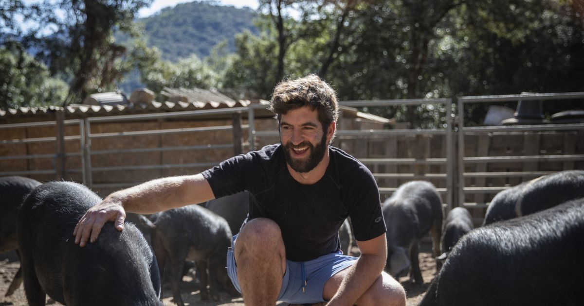 Candidat Corse Amour Est Dans Le Pré 2022
