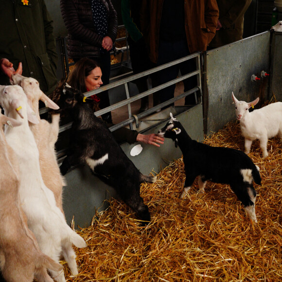 Le prince William, duc de Cambridge, et Catherine (Kate) Middleton, duchesse de Cambridge, lors d'une visite d'une ferme caprine à Pant Farm au Pays de Galles, Royaume Uni, le 1 mars 2022.