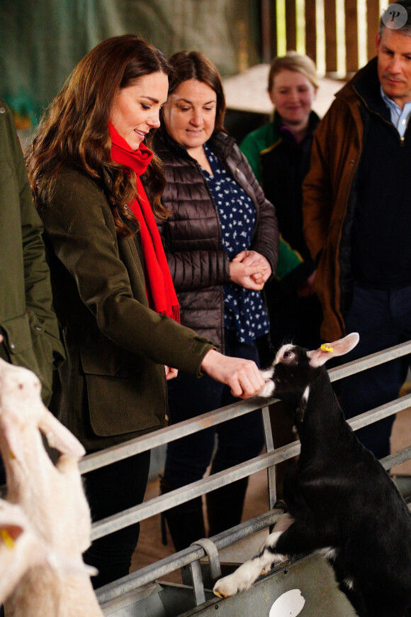 Catherine (Kate) Middleton, duchesse de Cambridge, lors d'une visite d'une ferme caprine à Pant Farm au Pays de Galles, Royaume Uni, le 1 mars 2022. Cette ferme fournit du lait à un producteur de fromage local depuis près de 20 ans.