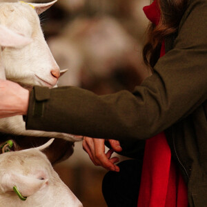 Catherine (Kate) Middleton, duchesse de Cambridge, lors d'une visite d'une ferme caprine à Pant Farm au Pays de Galles, Royaume Uni, le 1 mars 2022.