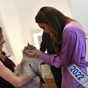 Exclusif - Diane Leyre (Miss France 2022) et Laetitia Barlerin - - Raphaël Mezrahi, Diane Leyre (Miss France 2022) et Laëtitia Barlerin dans les coulisses de l'enregistrement de l'émission "Animaux stars" présentée par Bernard Montiel sur la chaîne Animaux TV, le 16 février 2022. © Veeren / Bestimage