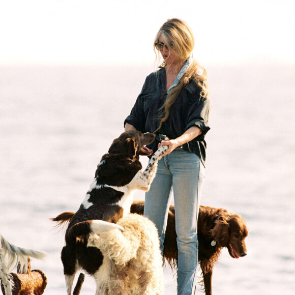 Brigitte Bardot et ses chiens à Saint-Tropez en 1993
