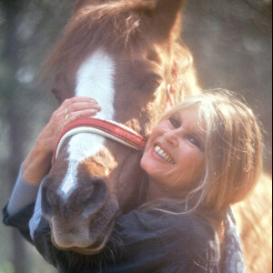 Brigitte Bardot à Saint-Tropez en 1993