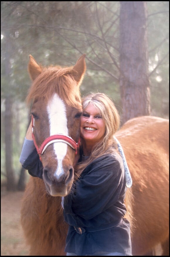 Brigitte Bardot à Saint-Tropez en 1993