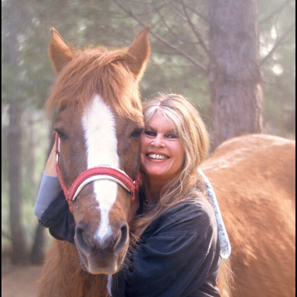 Brigitte Bardot à Saint-Tropez en 1993