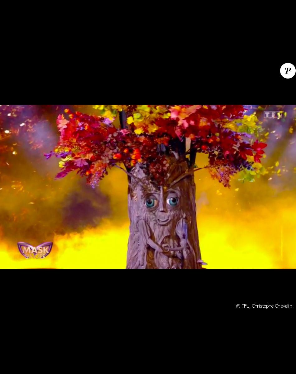 Mask Singer saison 3 - l'Arbre démasqué, découvrez qui se cachait ...