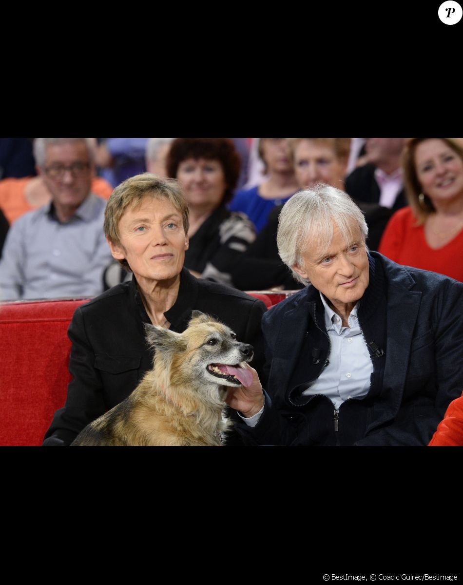Dave et son compagnon Patrick Loiseau avec leur chien - Enregistrement de l'émission "Vivement Dimanche" à Paris le 24 février 2016 et qui sera diffusée le 28 février. © Coadic Guirec/Bestimage