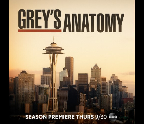 Grey's Anatomy commence sa 18ème saison aux Etats-Unis. @ Instagram / Greysabc
