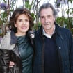 Jean-Jacques Bourdin "salement écarté" de l'antenne : sa femme Anne Nivat sort les griffes