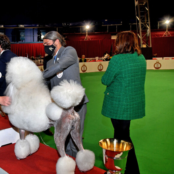 Le prince Albert II de Monaco félicite un Caniche, arrivé en 3eme position, Cole Porter Lido, présenté par Michele Milidoni durant l'exposition Canine Internationale de Monaco sous le chapiteau Fontvieille, le 8 mai 2022.  © Bruno Bebert / Bestimage 