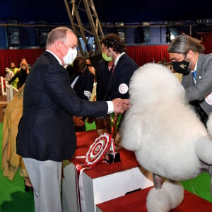 Le prince Albert II de Monaco félicite un Caniche, arrivé en 3eme position, Cole Porter Lido, présenté par Michele Milidoni durant l'exposition Canine Internationale de Monaco sous le chapiteau Fontvieille, le 8 mai 2022. © Bruno Bebert / Bestimage 