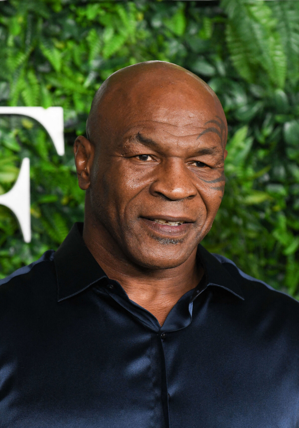 Mike Tyson accus d avoir frapp le passager d un avion le