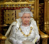 La reine Elizabeth II d'Angleterre - La famille royale d'Angleterre lors de l'ouverture du Parlement au palais de Westminster à Londres.