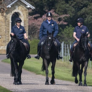 Le prince Andrew, duc d'York, monte à cheval dans le parc du château de Windsor, le 25 mars 2022. 