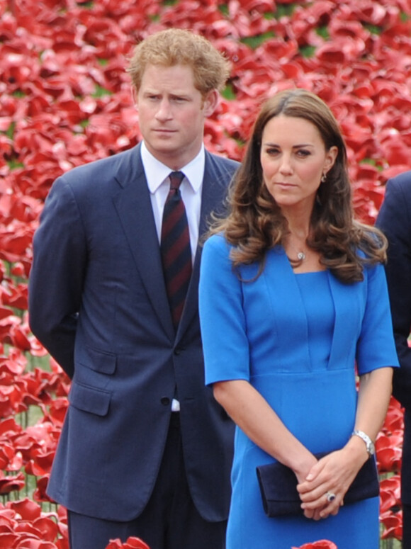 Le prince Harry d'Angleterre et Catherine Kate Middleton, la duchesse de Cambridge visitant la tour de Londres entourée d'une mer pourpre à Londres