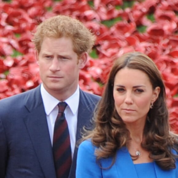 Le prince Harry d'Angleterre et Catherine Kate Middleton, la duchesse de Cambridge visitant la tour de Londres entourée d'une mer pourpre à Londres