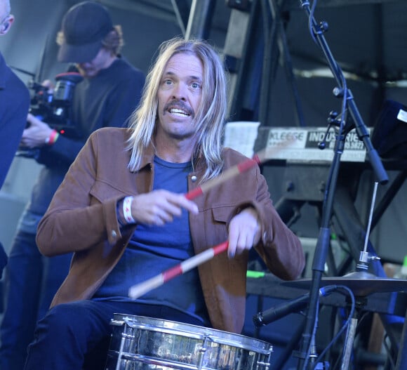 Taylor Hawkins au concert caritatif en soutien au Woolsey Fire au Festival One Love Malibu au King Gillette Ranch à Calabasas, le 2 décembre 2018 