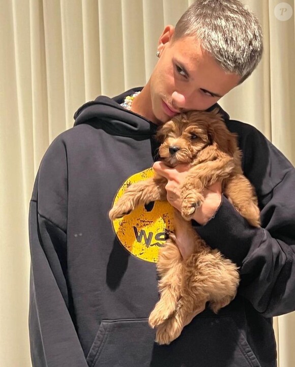Romeo Beckham et le nouveau chien de la famille. @ Instagram / Victoria Beckham