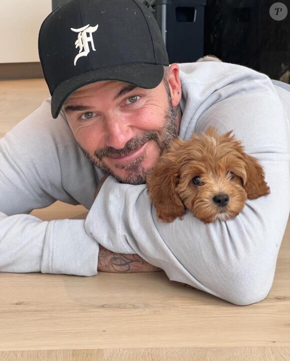 David Beckham et le nouveau chien @ Instagram / Victoria Beckham