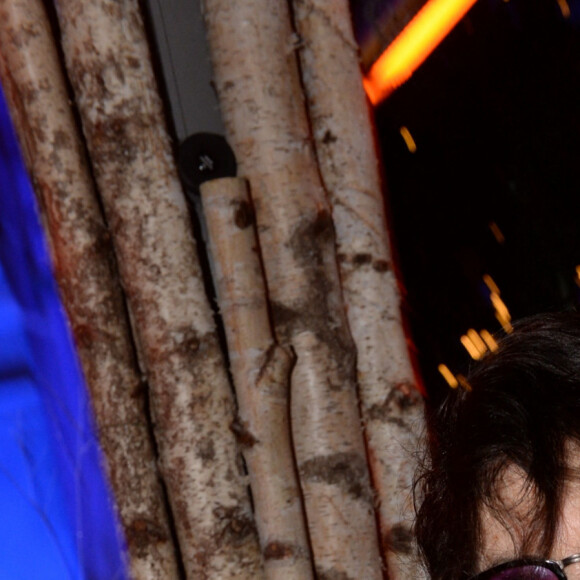 La chanteuse Dani lors de l'inauguration du chalet éphémère "Les Neiges Courchevel" sur la terrasse de l'Hôtel Barrière Le Fouquet's à Paris, France, le 27 novembre 2018. © Rachid Bellak/Bestimage 