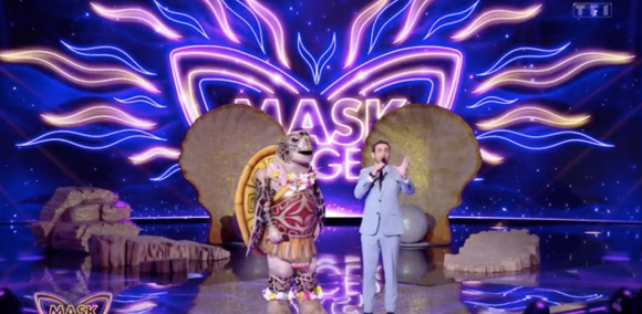 La Tortue dans la quatrième saison de "Mask Singer", sur TF1.