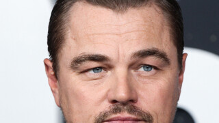 Leonardo DiCaprio : Cette célèbre ex qui a refait sa vie avec une star aussi connue que lui