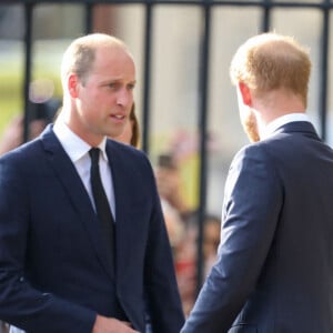 Le prince de Galles William, le prince Harry, duc de Sussex