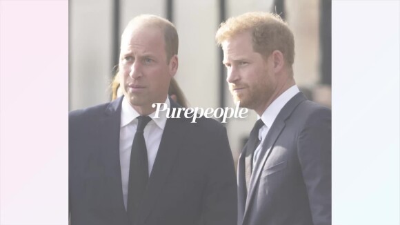 William et Harry réconciliés ? Des signes de paix évidents entre les "frères ennemis" dévoilés...