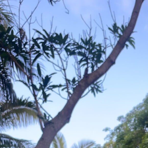 Pierre Niney profite de ses vacances en famille à l'Île Maurice.
