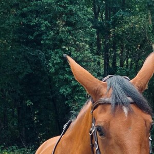 Egalement passionée de chevaux, Tiphaine Auzière aime partager ces moments avec ses enfants. @ Instagram / Tiphaine Auzière
