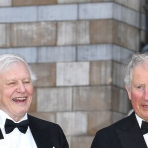 Le prince William, duc de Cambridge, Sir David Attenborough, le prince Charles, prince de Galles, le prince Harry, duc de Sussex lors de la première mondiale de la série Netflix "Our Planet" au Musée d'histoire naturelle de Londres le 4 avril 2019. 