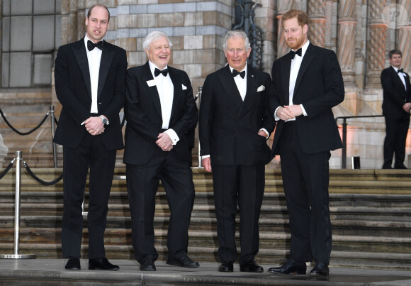 Le prince William, duc de Cambridge, Sir David Attenborough, le prince Charles, prince de Galles, le prince Harry, duc de Sussex lors de la première mondiale de la série Netflix "Our Planet" au Musée d'histoire naturelle de Londres le 4 avril 2019. 
