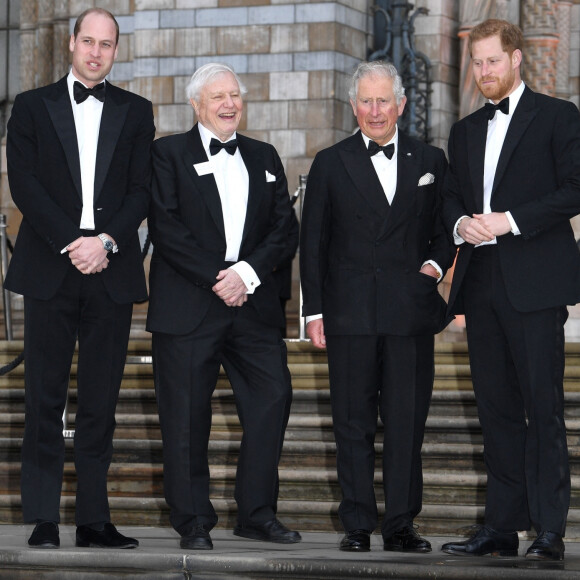 Le prince William, duc de Cambridge, Sir David Attenborough, le prince Charles, prince de Galles, le prince Harry, duc de Sussex lors de la première mondiale de la série Netflix "Our Planet" au Musée d'histoire naturelle de Londres le 4 avril 2019. 