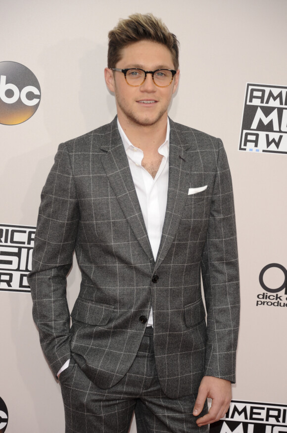 Niall Horan sur le tapis rouge du 2016 American Music Awards au théâtre Microsoft à Los Angeles, le 20 novembre 2016.