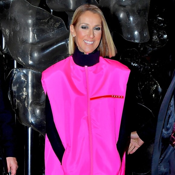 Céline Dion prend la pose pour les photographes après son show au Barclay's Center à New York, le 5 mars 2020.