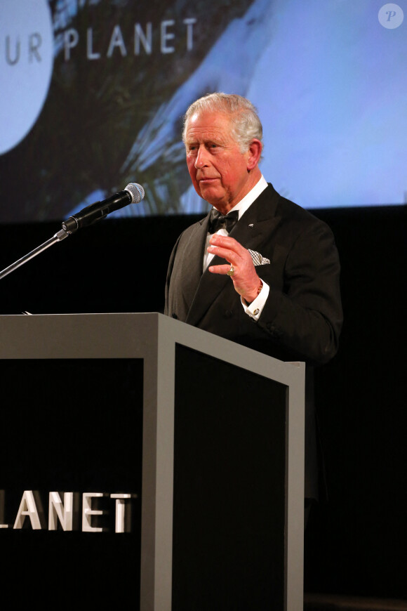 Le prince Charles, prince de Galles, lors de la première de la série Netflix "Our Planet" au Musée d'Histoires Naturelles à Londres, le 4 avril 2019. 
