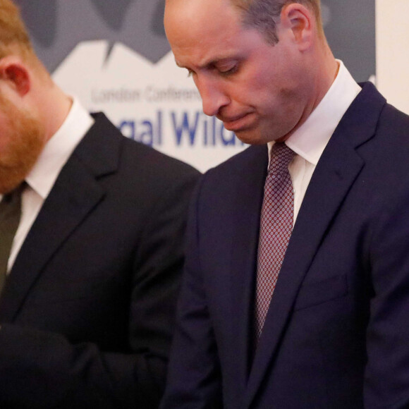 Le prince William, duc de Cambridge, et le prince Harry, duc de Sussex, lors de la conférence "2018 Illegal Wildlife Trade" au palais St James à Londres. Le 10 octobre 2018 