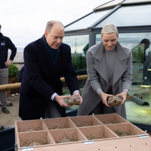 Dans le cadre d'un programme de renforcement des populations locales, l'Institut océanographique de Monaco transfère 46 tortues sillonnées au Sénégal. Ce samedi 10 décembre, 46 tortues juvéniles ont quitté le Musée océanographique de Monaco pour rejoindre le Village des Tortues de Noflaye, au Sénégal, dans le cadre d'un projet de renforcement des populations. Cette première étape, qui s'inscrit dans un programme d'une durée de 3 ans, s'est déroulée en présence et avec la participation de LL.AA.SS. le Prince Albert II et la Princesse Charlène de Monaco, accompagnés de Leurs enfants, LL.AA.SS. le Prince Héréditaire Jacques et la Princesse Gabriella. © Olivier Huitel / Pool Monaco / Bestimage 