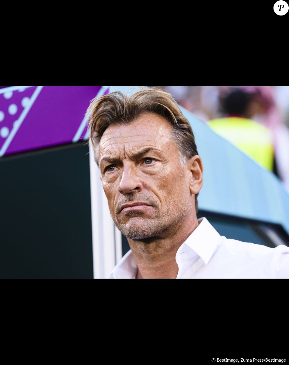 Au bout de 4 jours de tournage, Candice fait appel à la production pour signaler qu'elle vient d'être agressée sexuellement
Le sélectionneur de l'équipe d'Arabie saoudite, Hervé Renard lors du match du groupe C opposant la Pologne à l'Arabie Saoudite lors de la coupe du Monde au stade ducation City à Doha au Qatar, le 26 novembre 2022. © Marcio Machado/Sport Press Photo/Zuma Press/Bestimage