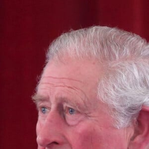 Le prince Charles lors de la remise du "Elizabeth Prize for Engineering" au palais Buckingham à Londres. Le 3 décembre 2019 