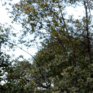 Exclusif - Le prince Albert II de Monaco - Le prince Albert II de Monaco participe à l'opération Olympians Clean Up de l'Association Monégasque des Athlètes Olympiques (AMAO) le 2 avril 2023. quelques courageux collégiens se sont levés plus tôt pour une marche bien matinale afin de rejoindre la Première marche de "l'Olympians Clean Up" qui consistait à marcher à pieds de la Place du Palais jusqu'à la Tête de Chien tout en ramassant un maximum de déchets sur son chemin. Le Prince Souverain a pris part à cette opération ainsi que des élèves des collèges Charles III de Monaco et Bellevue de Beausoleil. © Claudia Albuquerque / Bestimage 