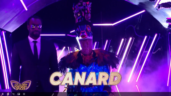 Le Canard, "Mask Singer".