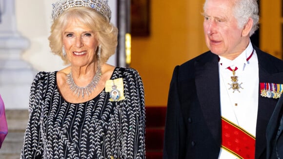 Charles III et la reine Camilla soudés : Nouveaux portraits symboliques révélés à une semaine du couronnement